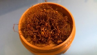 IMG_20131219_070138.jpg